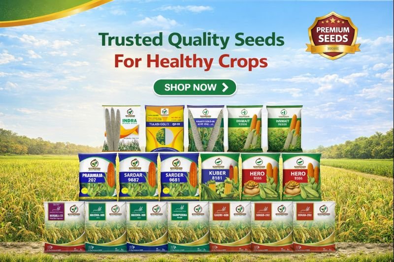 7f795b56-00b6-48ae-9a3f-0272fae0c927-md