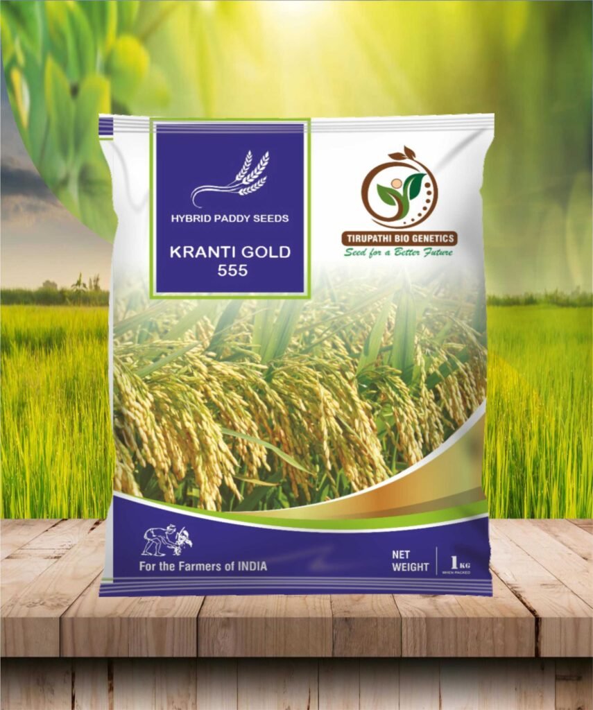 kranthi gold 555