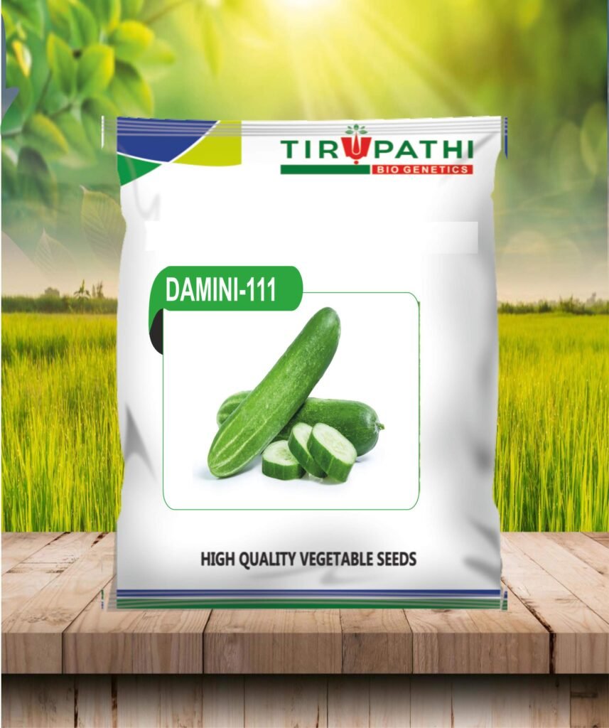damini 111