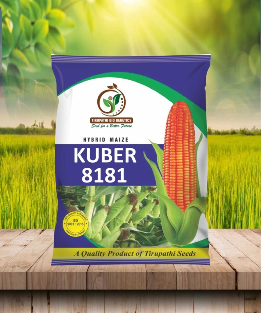kuber 8181