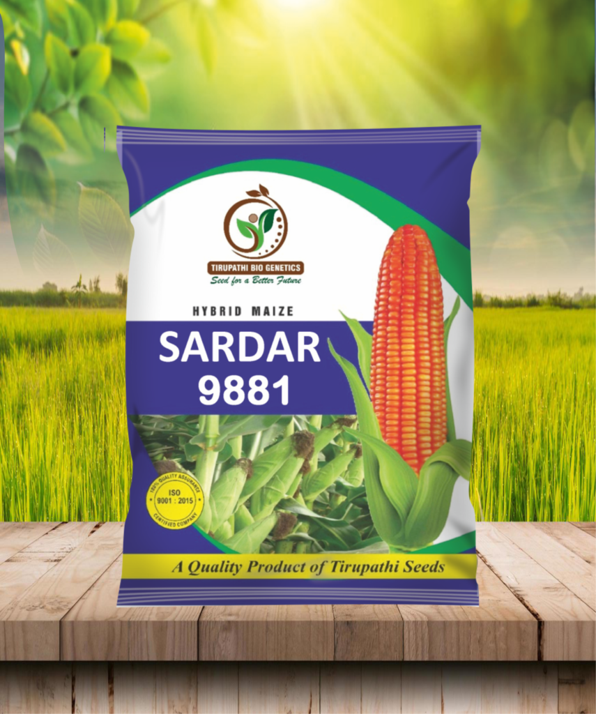 sardar 9881