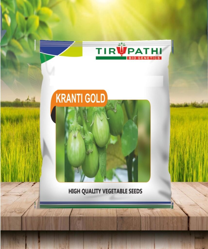 whatsapp image 2026 03 10 at 22.38.59 (1)