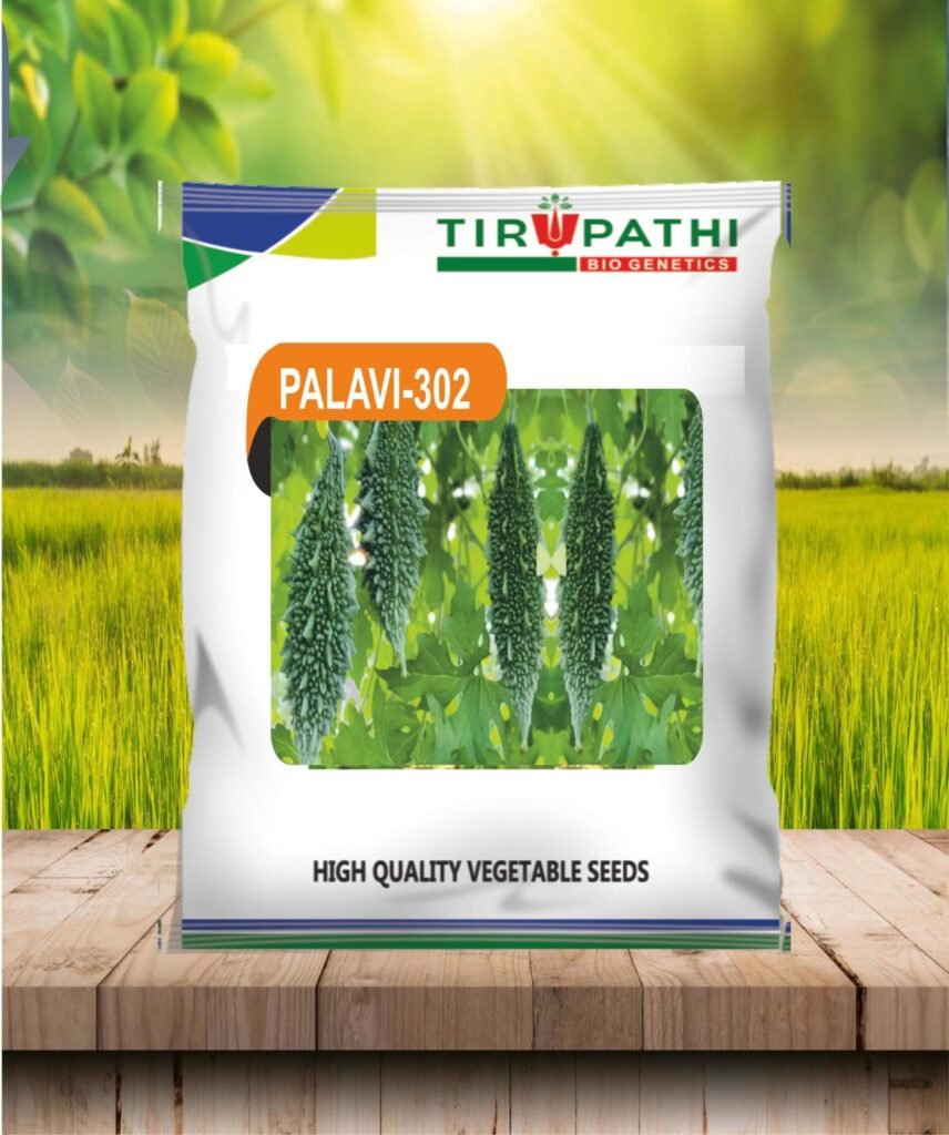 whatsapp image 2026 03 10 at 22.39.00 (1)