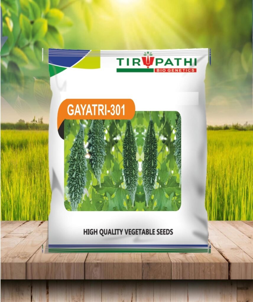 whatsapp image 2026 03 10 at 22.39.00 (2)