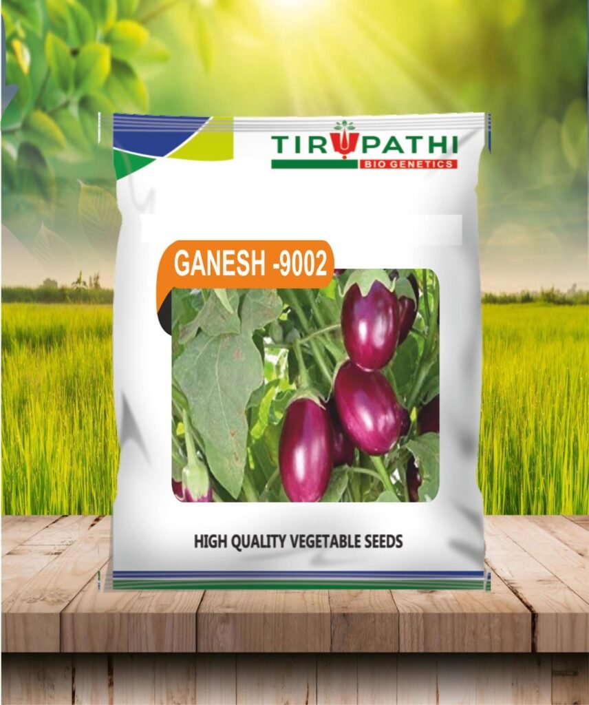 whatsapp image 2026 03 10 at 22.39.00