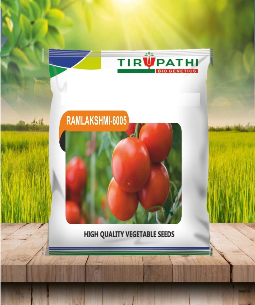 whatsapp image 2026 03 10 at 22.39.01 (1)