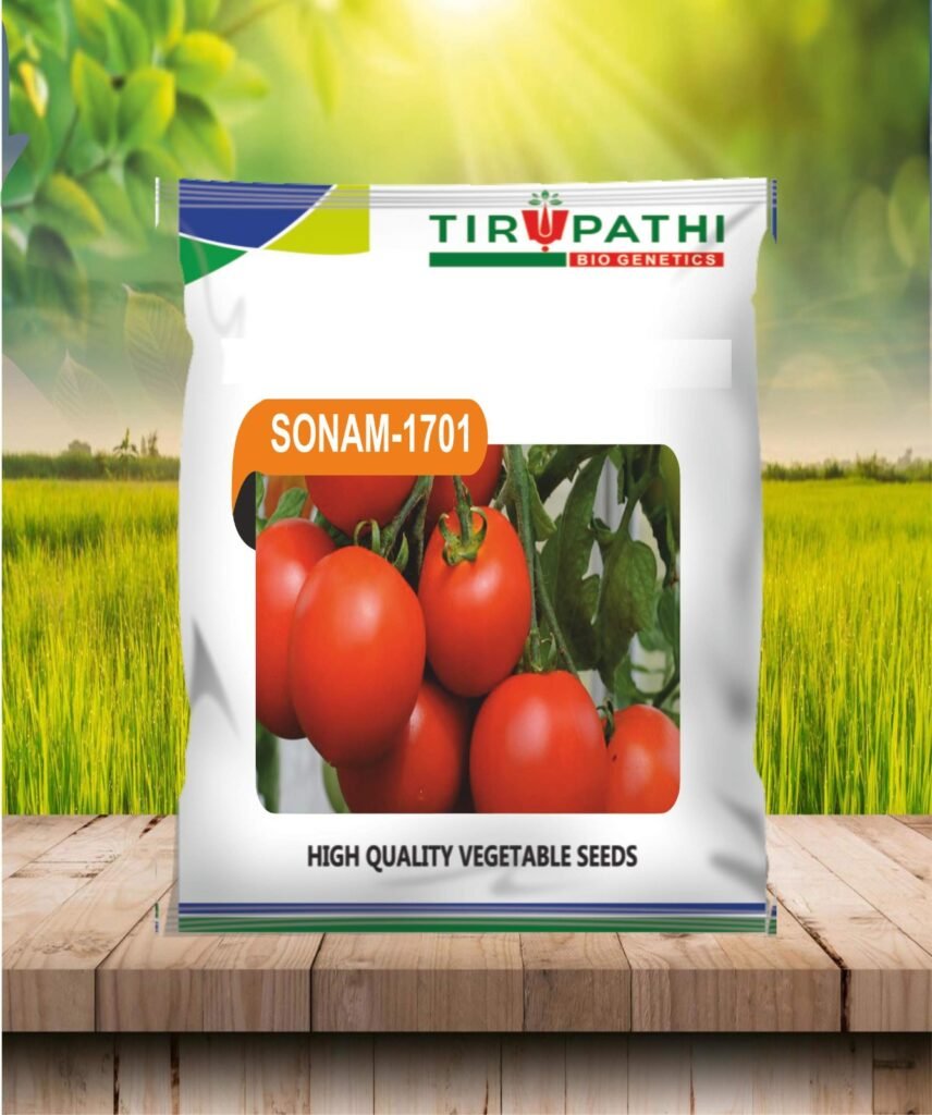 whatsapp image 2026 03 10 at 22.39.01