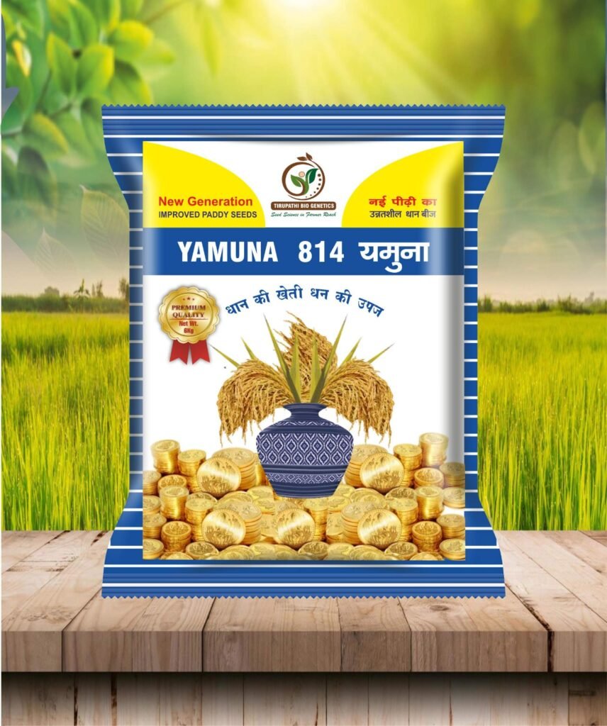 whatsapp image 2026 03 29 at 15.01.08